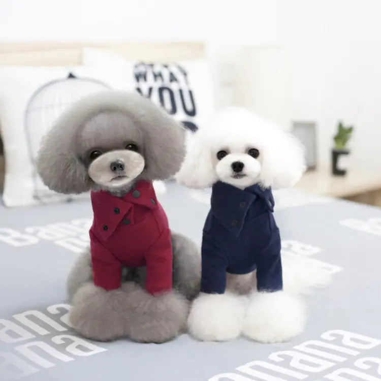 Autumn Winter Dog Clothes for Small Breeds casual pet outfit Discover the most used items