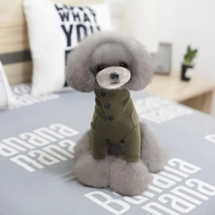 Autumn Winter Dog Clothes for Small Breeds casual pet outfit Discover the most used items