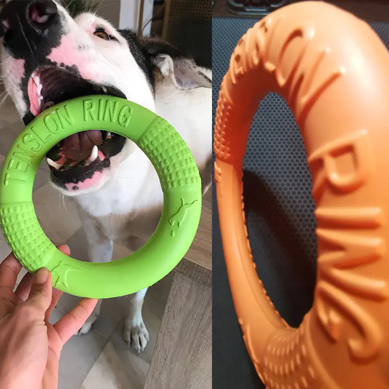 Interactive EVA Training Ring Discover the most used items