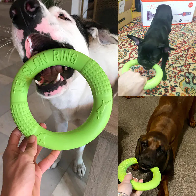 Interactive EVA Training Ring Discover the most used items