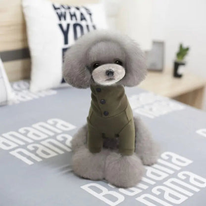 Autumn Winter Dog Clothes for Small Breeds  casual pet outfit Discover the most used items