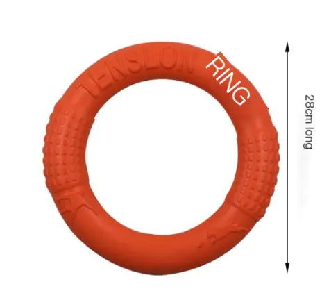 Interactive EVA Training Ring Discover the most used items