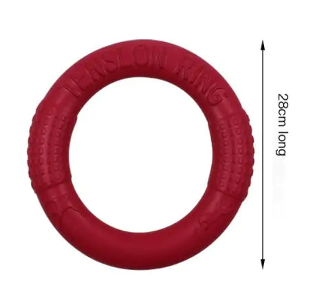 Interactive EVA Training Ring Discover the most used items
