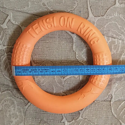 Interactive EVA Training Ring Discover the most used items