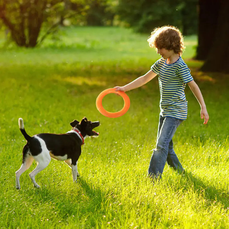 Interactive EVA Training Ring Discover the most used items